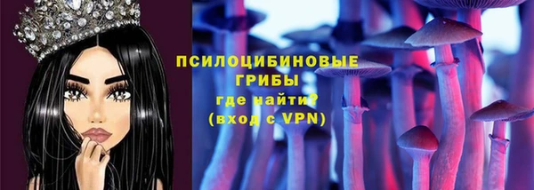 прущие крисы Белокуриха