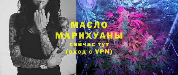 дмт Богородицк