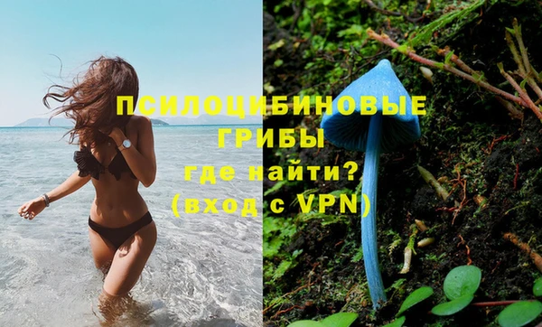 дмт Богородицк