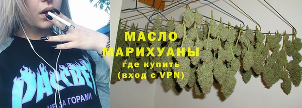 дмт Богородицк
